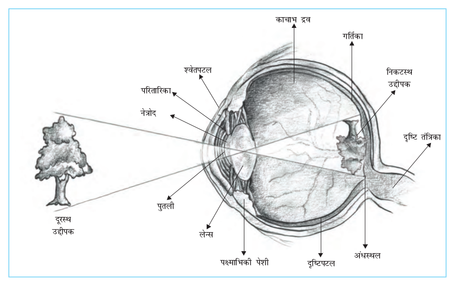 Screenshot from 2019-06-08 18-34-54